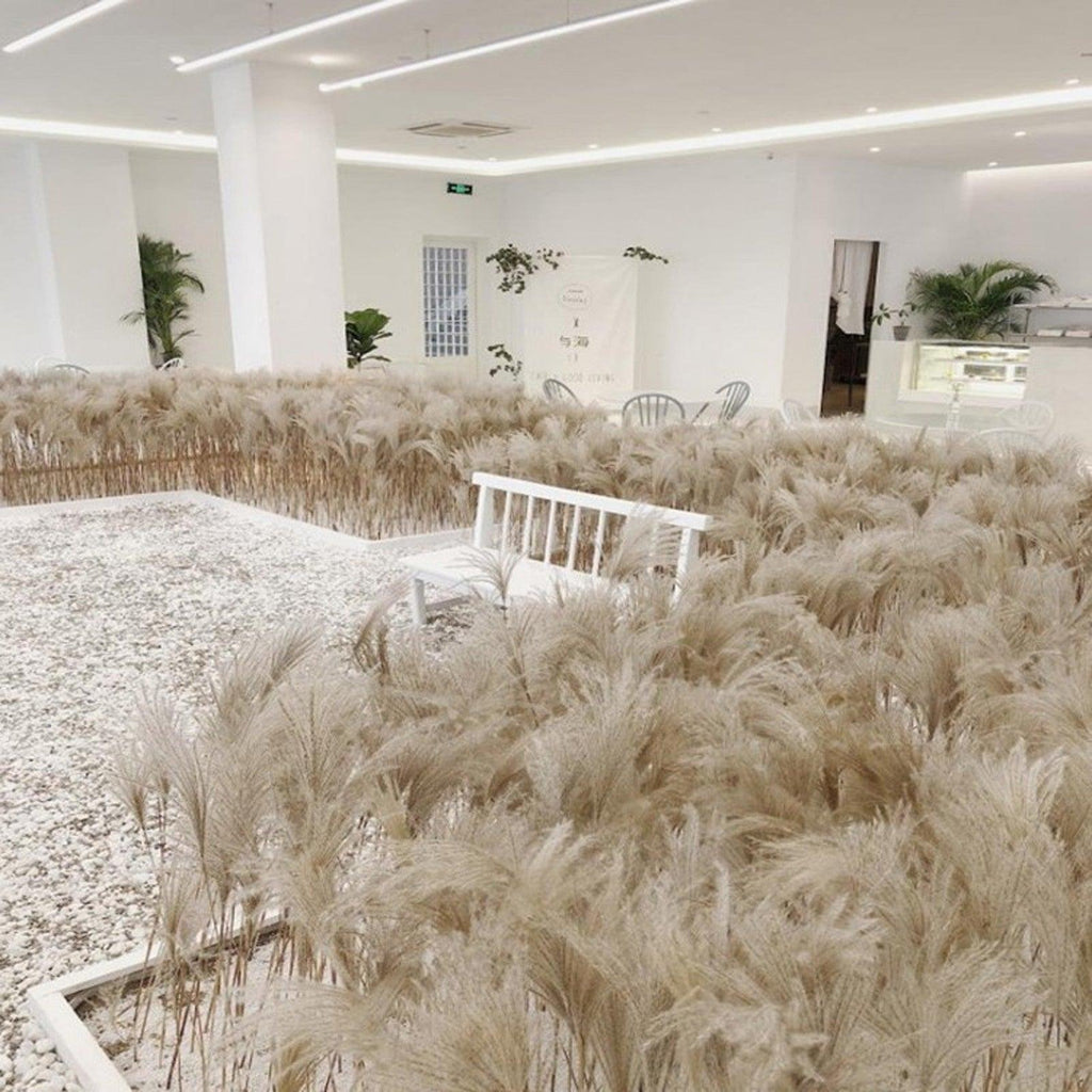 50Pcs/Bunch 50cm Natural Phragmites Reed Flowers Bulrush Bouquet Big Dried Pampas Grass Wedding Decoration Home Fall Decor