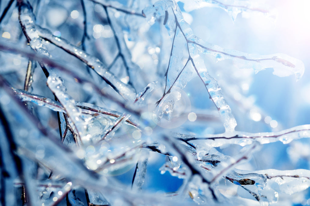 Cryo Moisturizing Ampoules (Frozen)