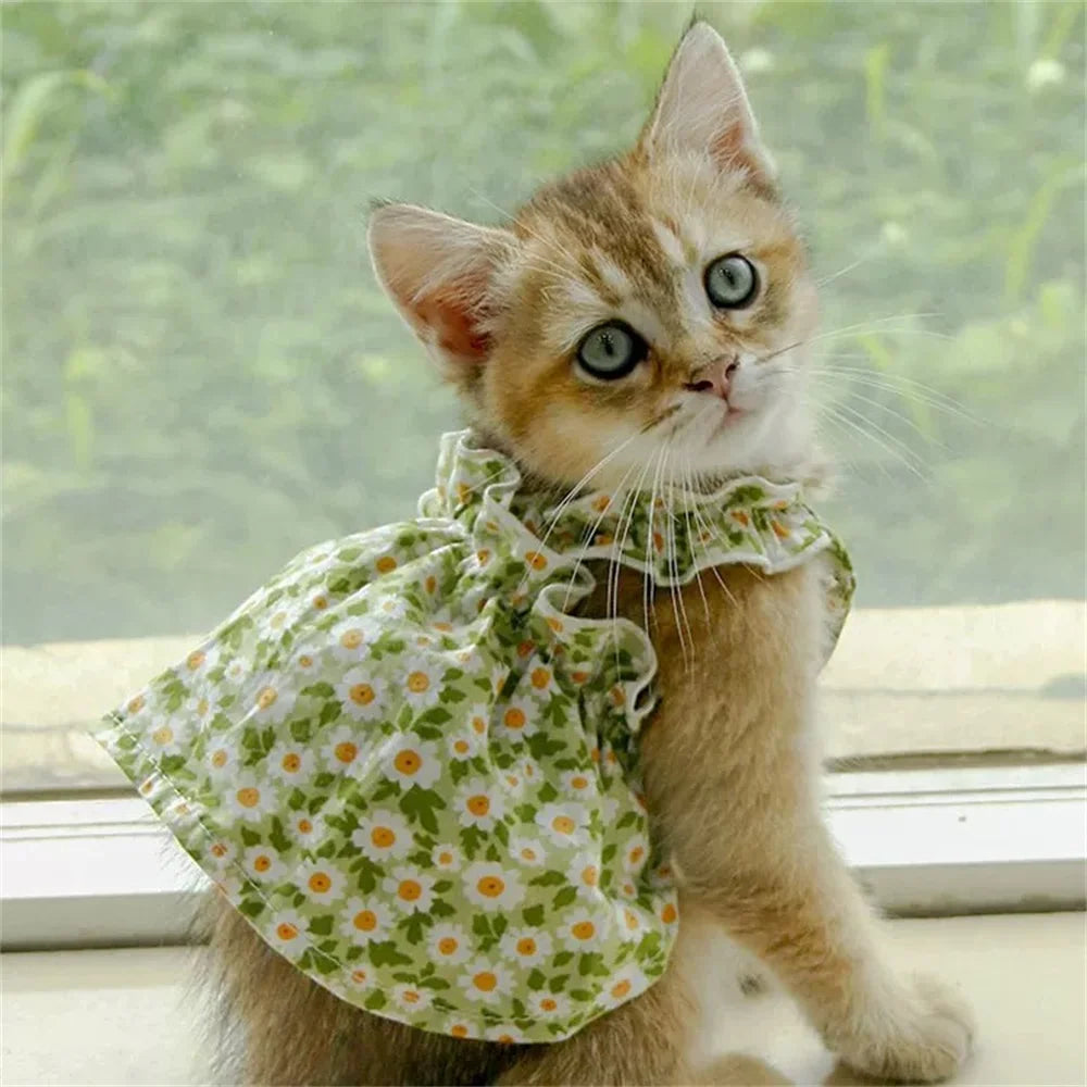 Cotton Sphynx Pet Dresses
