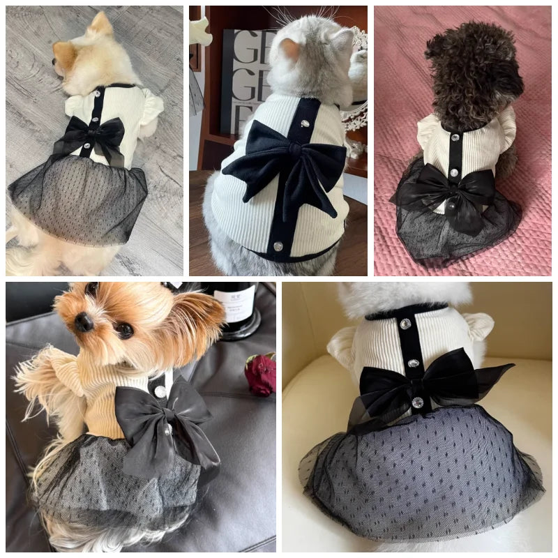 Dog Dress for Small Dogs