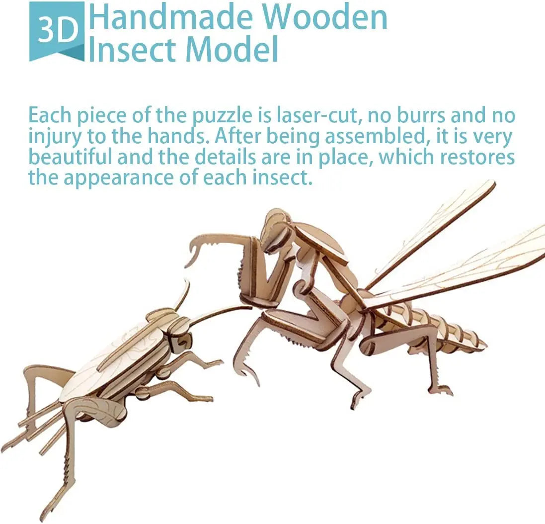 Montessori DIY 3D Wooden Puzzle Model