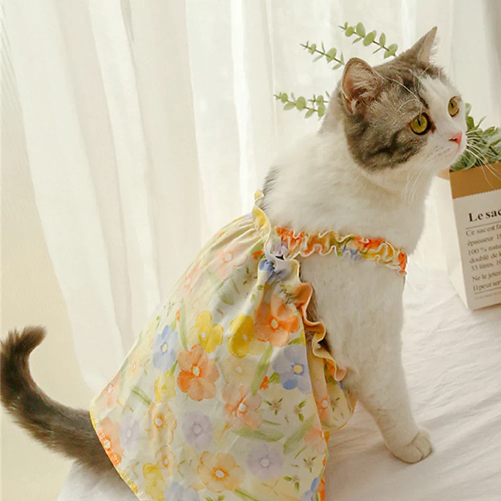 Cotton Sphynx Pet Dresses