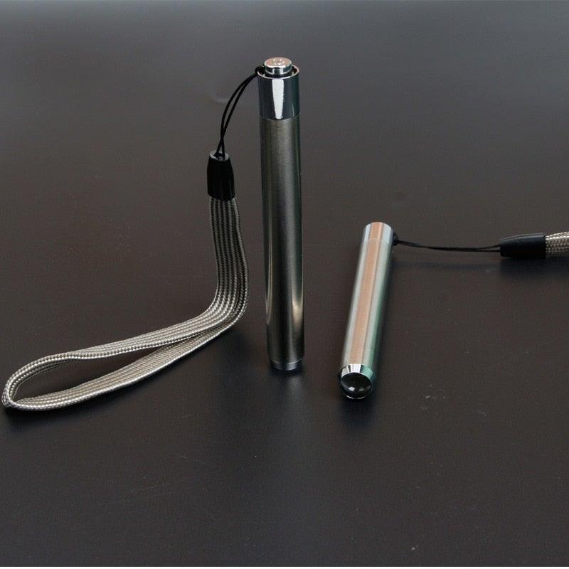 Stainless Steel Mini Pocket UV Black Light Flashlight Led Lamp Portable Flashlight Ultraviolet Pen Lights For Leak Pet Urine Bed Bug  Dry Stain & Dye Detector Marker Checker Detection